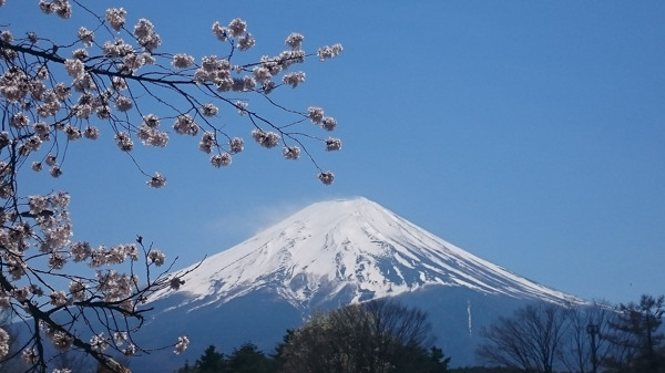 富士山火山