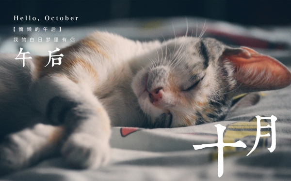小猫睡觉十月你好唯美微信配图海报设计