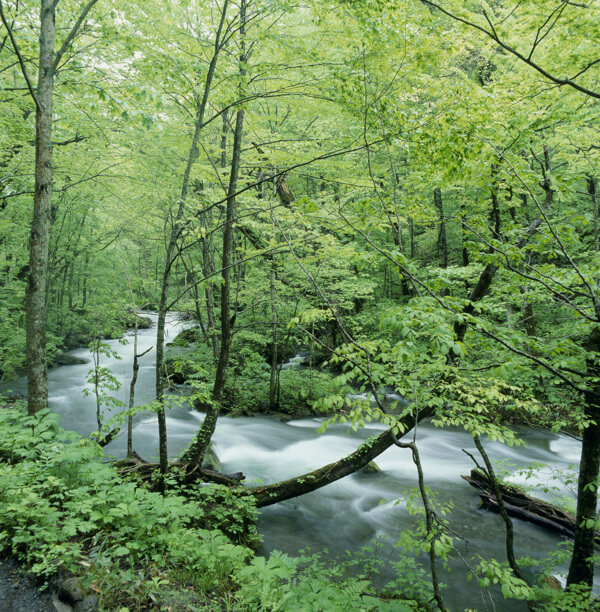 青山绿水河流景色图片