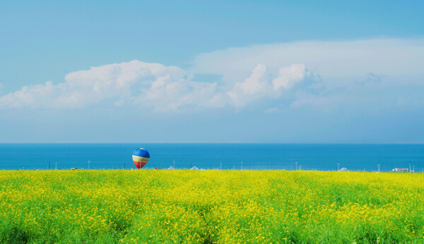 青海湖