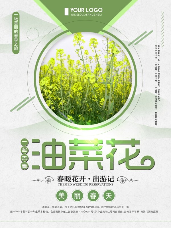 绿色清新简约一起去看油菜花旅游海报