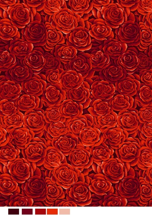 玫瑰花底纹图片