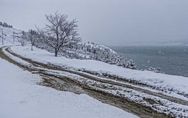 第比利斯湖畔雪景图片