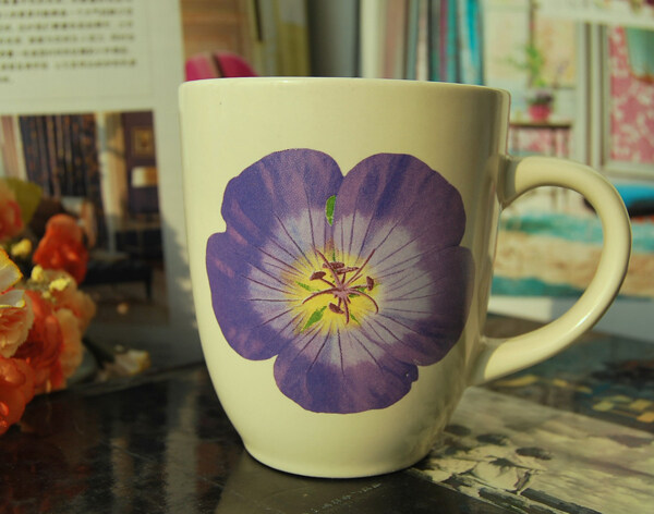 紫花杯子图片