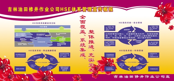 HSE板报图片