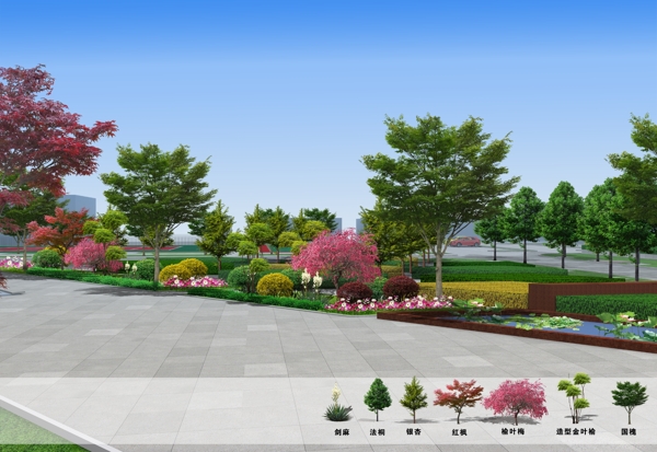 广场水池绿化改造效果图
