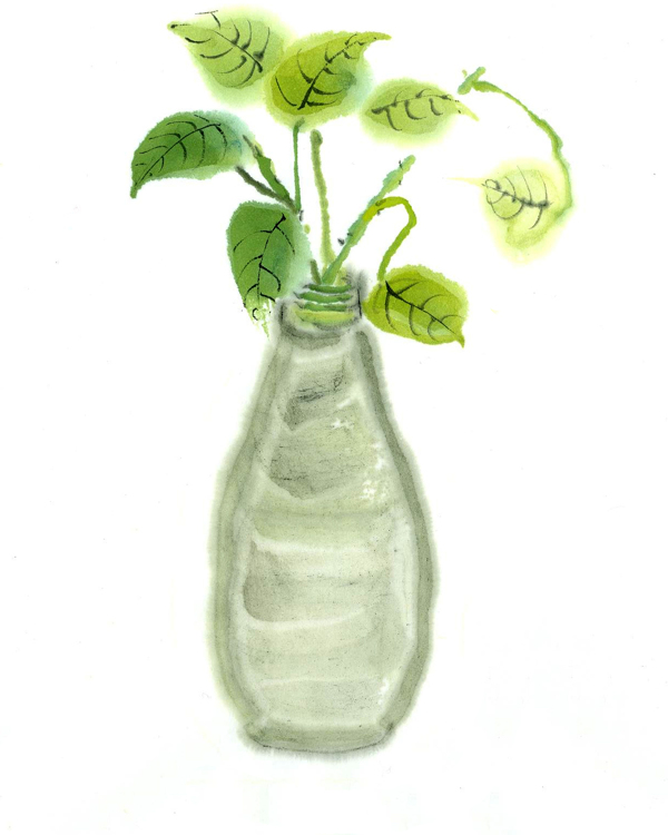 瓶花绿萝