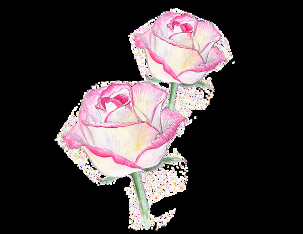 手绘粉色花卉装饰图案