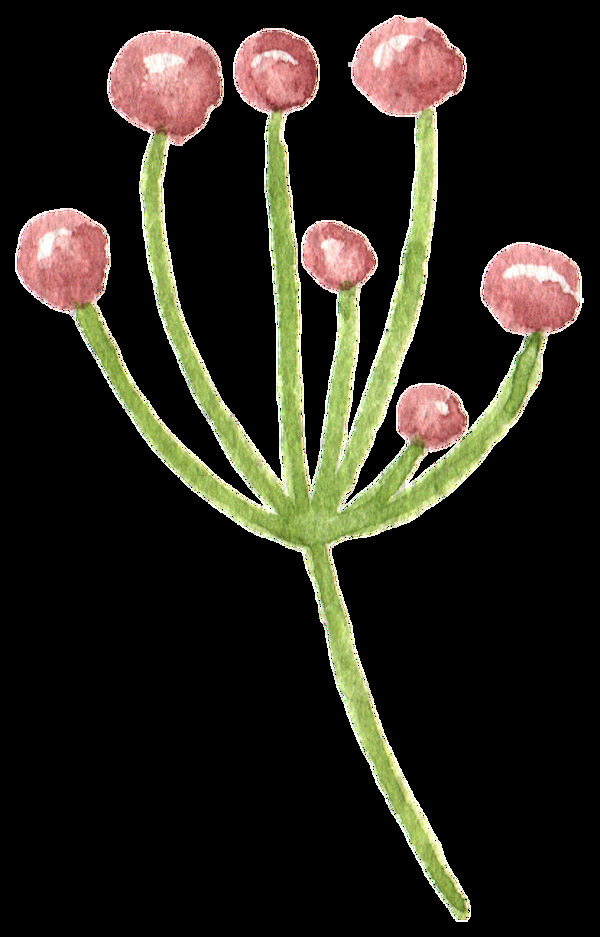 可爱花卉卡通透明素材