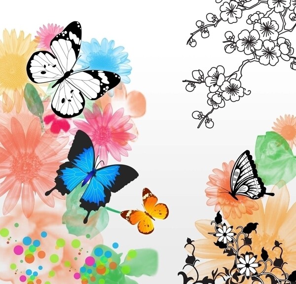 蝴蝶插画图片