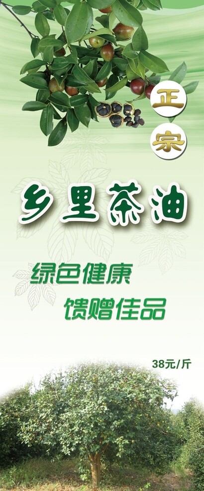 茶油易拉宝图片