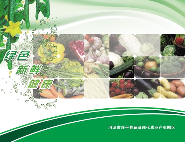 蔬菜基地蔬菜海报图片