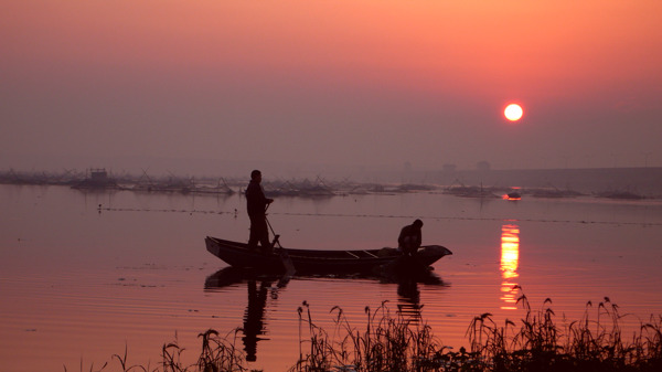 渔乡之晨图片