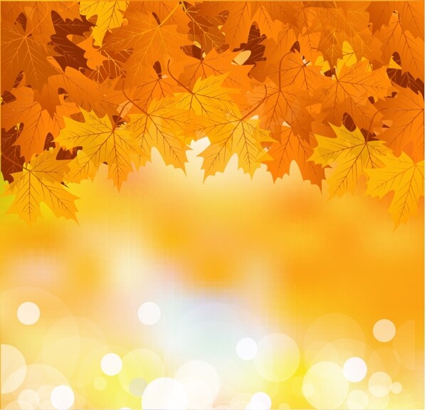 橙色的秋天树叶背景