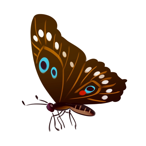 棕色蝴蝶装饰插画