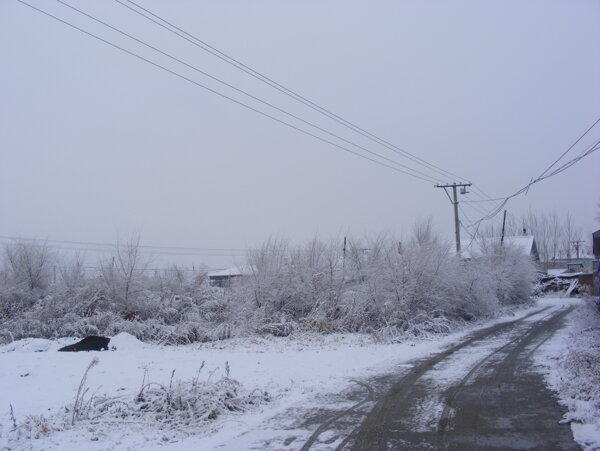 冬雪摄影图片