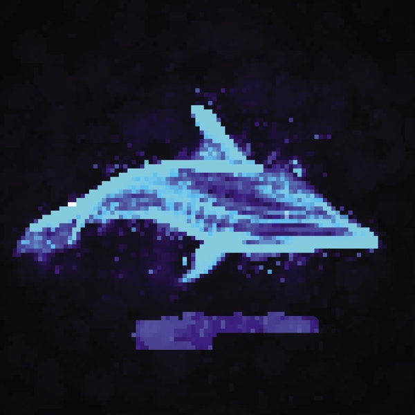 透明的海豚矢量图01