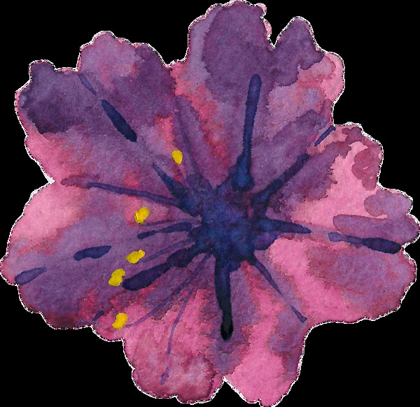手绘紫色木槿花PNG透明素材