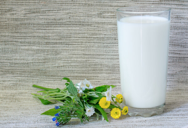 牛奶与鲜花