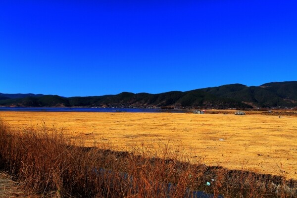 丽江拉市海景图片