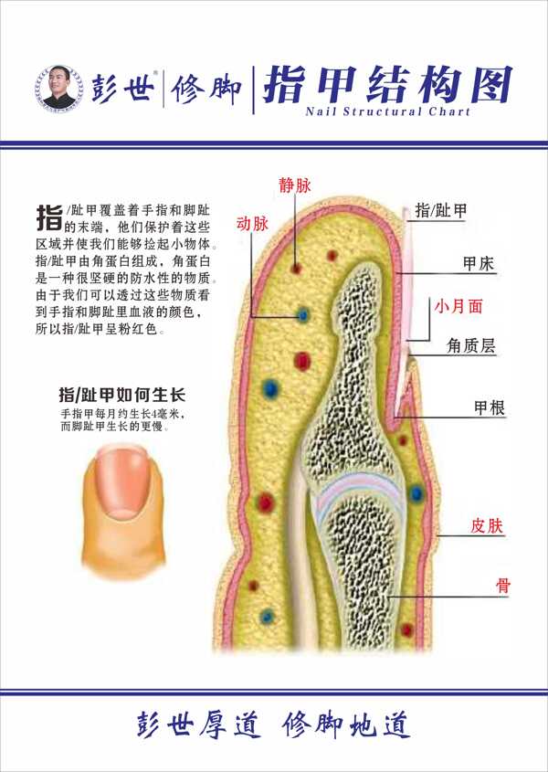 修脚