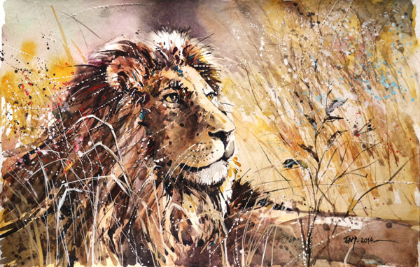 狮子水彩手绘非洲草原