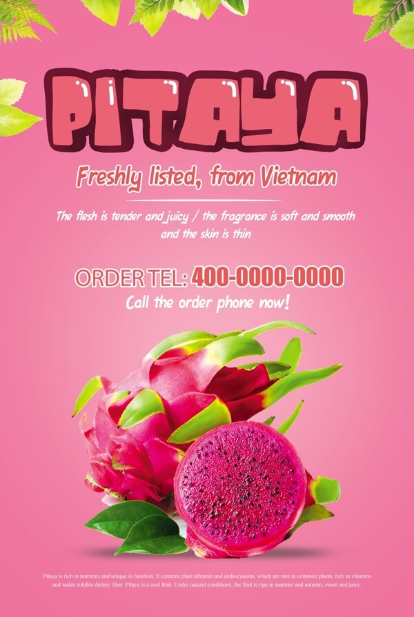 越南火龙果粉色海报