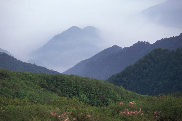 山水剪影图片