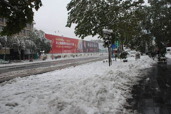 雪后郑州图片