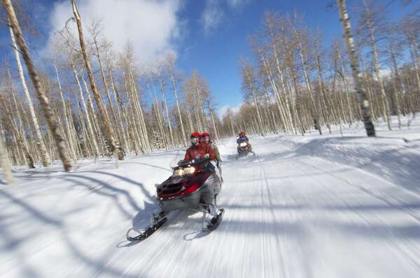 行驶在树林间的摩托雪橇图片