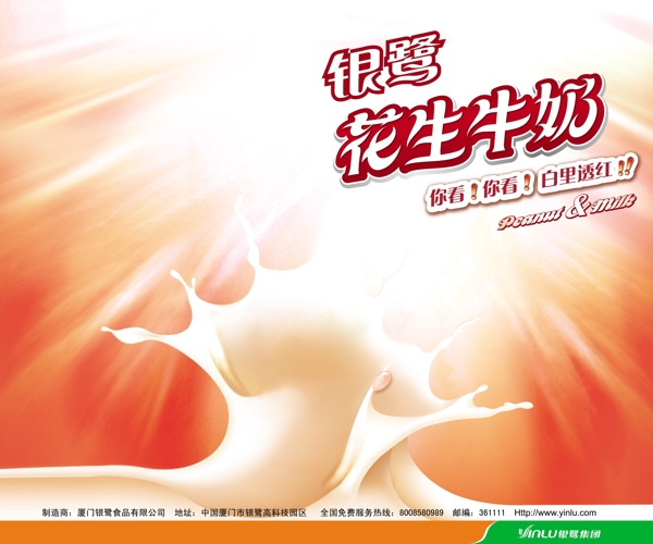 银鹭花生牛奶广告海报图片