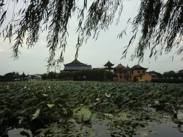 昆山锦溪图片