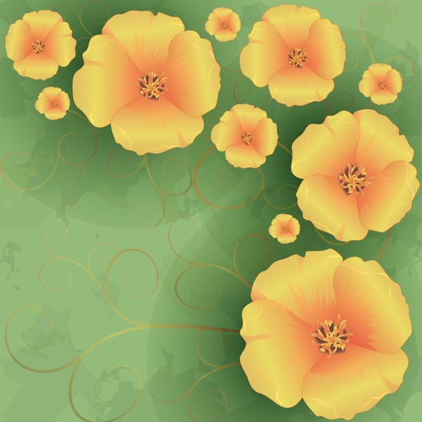 黄色罂粟花与绿色背景矢量素材