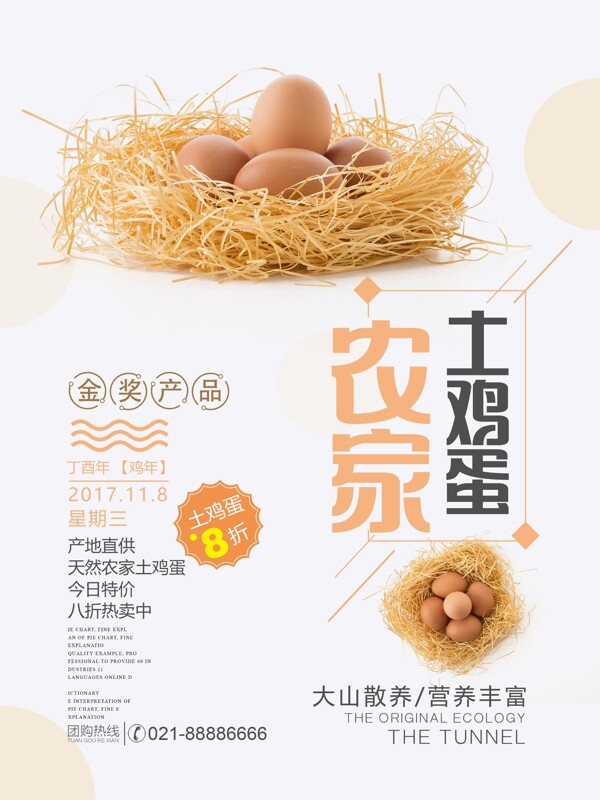 清新简约农家土鸡蛋促销宣传海报设计