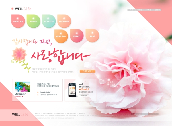 韩式粉性类网页模板图片