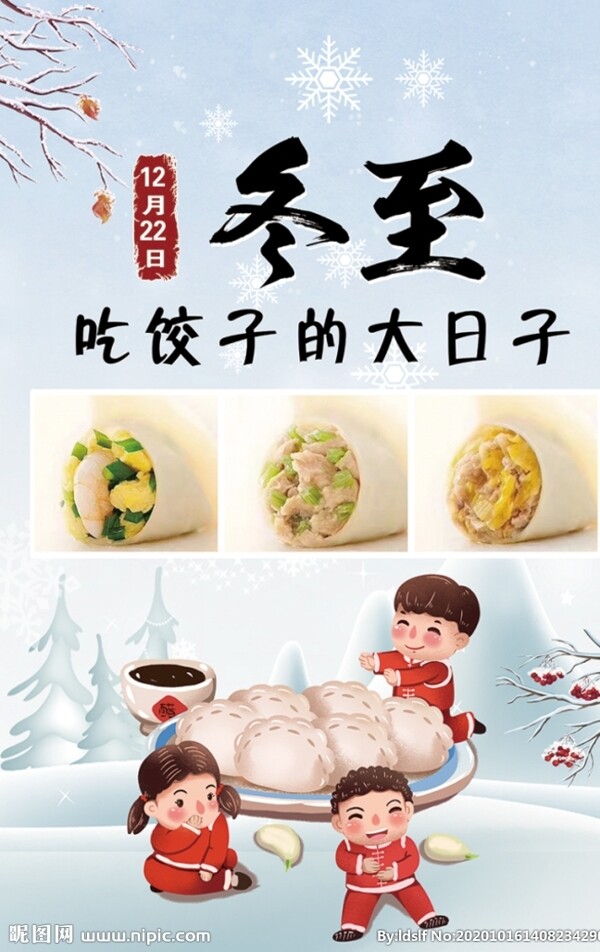 冬至饺子图片