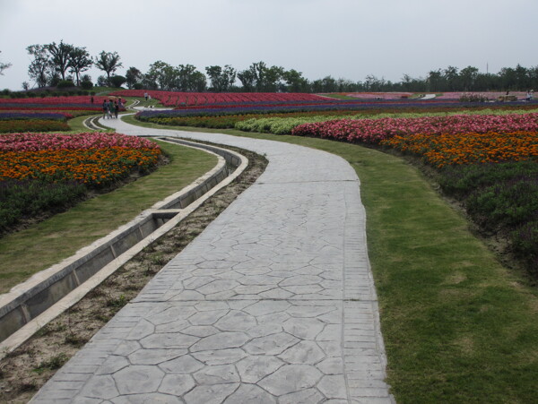 周浦花海旅游景点图片