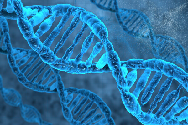显微镜下色DNA链