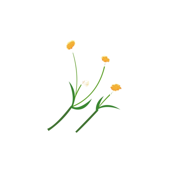 手绘花卉植物小清新风格插画元素