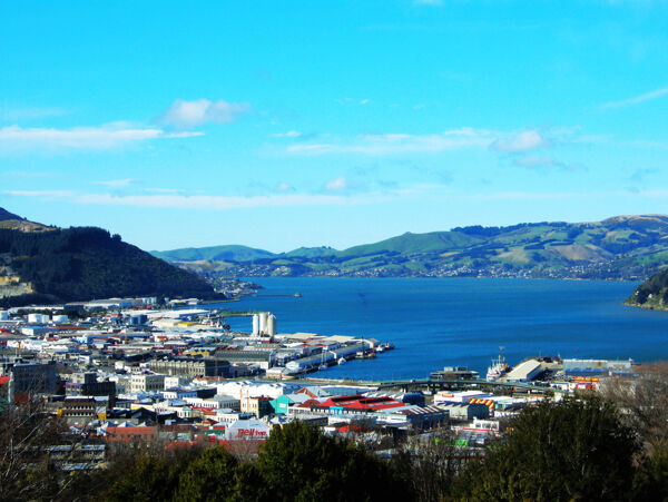 新西兰达尼丁海岸Dunedin图片