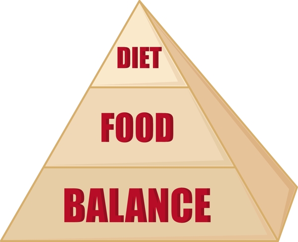 食物金字塔矢量动画图表