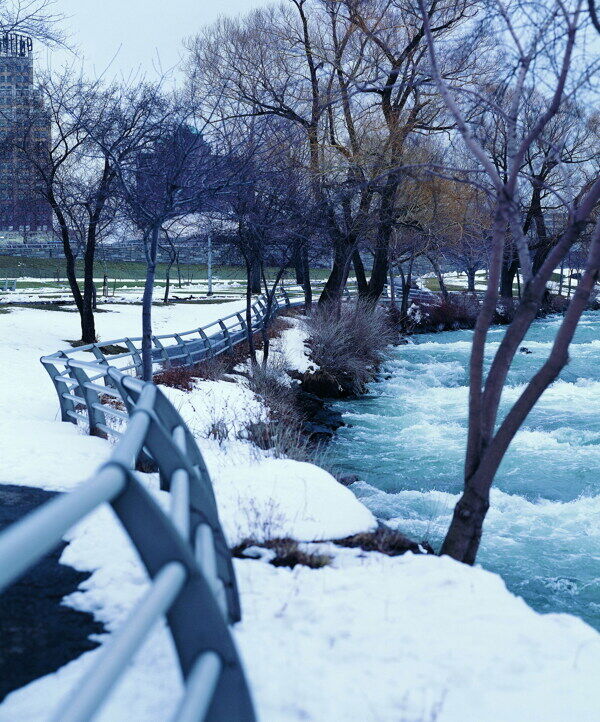 冬天雪景雪景大雪