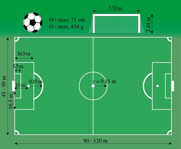 绿色足球场数据图