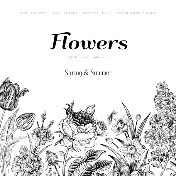 黑色手绘花卉背景矢量素材图片