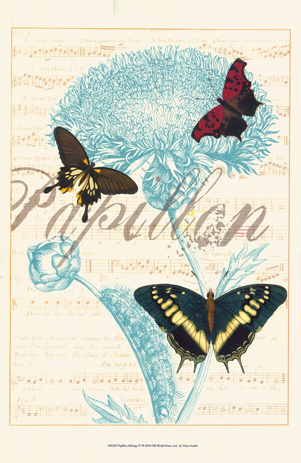 蝴蝶与花卉插画背景