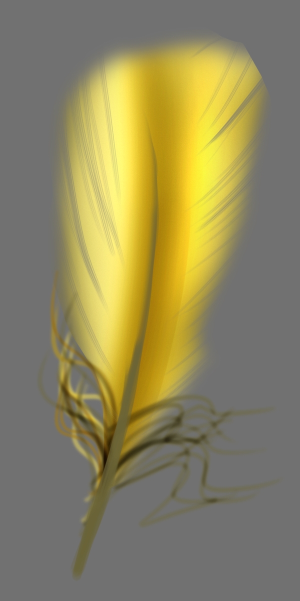 黄色漂亮羽毛