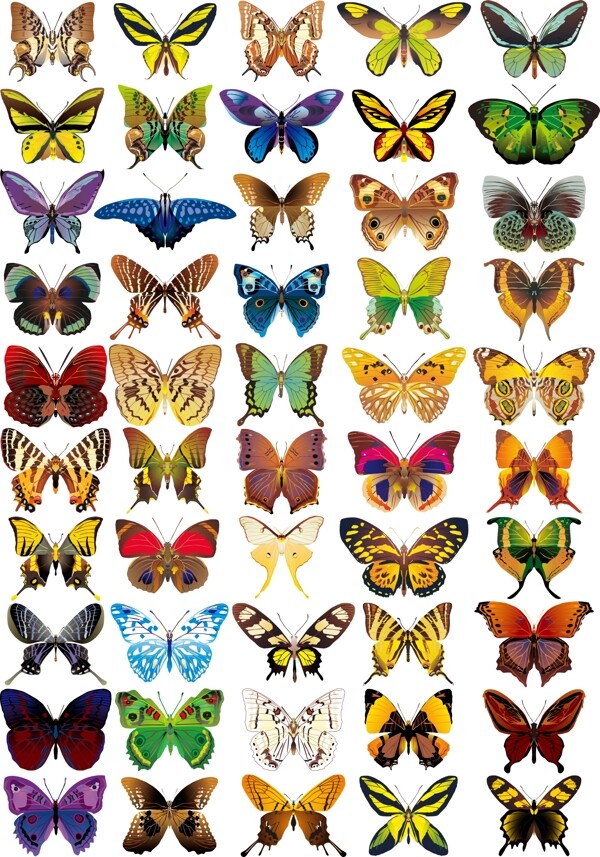 50款漂亮逼真的蝴蝶