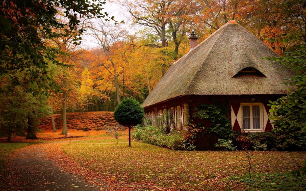 森林小屋图片