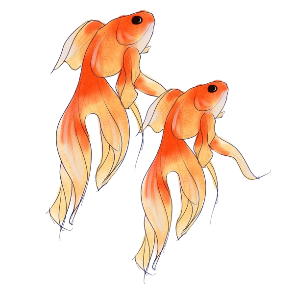 橙色水彩手绘鱼清新