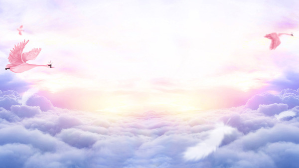 白云天鹅背景素材图片
